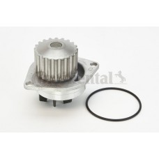 Bomba de agua, refrigeración del motor - CONTITECH-WP6026 Bomba de agua, refrigeración del motor - CONTITECH-WP6026