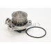 Bomba de agua, refrigeración del motor - CONTITECH-WP6062