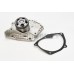 Bomba de agua, refrigeración del motor - CONTITECH-WP6074 Bomba de agua, refrigeración del motor - CONTITECH-WP6074