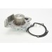 Bomba de agua, refrigeración del motor - CONTITECH-WP6075