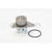 Bomba de agua, refrigeración del motor - CONTITECH-WP6079 Bomba de agua, refrigeración del motor - CONTITECH-WP6079