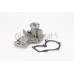 Bomba de agua, refrigeración del motor - CONTITECH-WP6080 Bomba de agua, refrigeración del motor - CONTITECH-WP6080