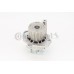 Bomba de agua, refrigeración del motor - CONTITECH-WP6114