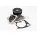 Bomba de agua, refrigeración del motor - CONTITECH-WPS3017 Bomba de agua, refrigeración del motor - CONTITECH-WPS3017