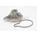 Bomba de agua, refrigeración del motor - CONTITECH-WPS3024 Bomba de agua, refrigeración del motor - CONTITECH-WPS3024