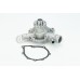 Bomba de agua, refrigeración del motor - CONTITECH-WPS3051 Bomba de agua, refrigeración del motor - CONTITECH-WPS3051