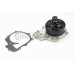 Bomba de agua, refrigeración del motor - CONTITECH-WPS3052 Bomba de agua, refrigeración del motor - CONTITECH-WPS3052