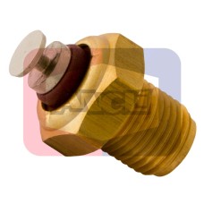 Sensor, temperatura del refrigerante - ANGLI-1563
