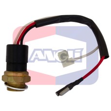 Interruptor de temperatura, ventilador del radiador - ANGLI-1655 Interruptor de temperatura, ventilador del radiador - ANGLI-1655