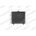 Condensador, aire acondicionado - RIDEX 448C0036