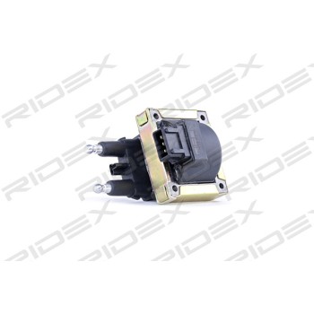 Bobina de encendido - RIDEX 689C0120
