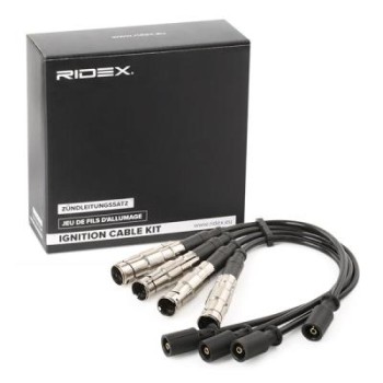 Juego de cables de encendido - RIDEX 685I0112