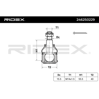 Rótula de suspensión/carga - RIDEX 2462S0229