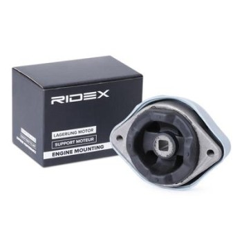 Suspensión, caja de cambios - RIDEX 249M0171