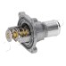 Termostato, refrigerante - JAPKO-380207