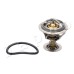 Termostato, refrigerante - JAPKO-380306