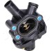 Termostato, refrigerante - JAPKO-380329