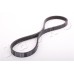 Correa trapecial poli V - JAPKO-4PK725