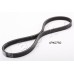 Correa trapecial poli V - JAPKO-4PK750
