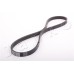 Correa trapecial poli V - JAPKO-4PK795