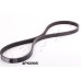 Correa trapecial poli V - JAPKO-4PK905