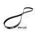 Correa trapecial poli V - JAPKO-5PK1225