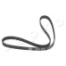 Correa trapecial poli V - JAPKO-6PK1123