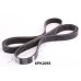 Correa trapecial poli V - JAPKO-6PK2055