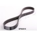 Correa trapecial poli V - JAPKO-6PK815