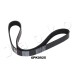 Correa trapecial poli V - JAPKO-6PK925