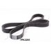 Correa trapecial poli V - JAPKO-7PK2285