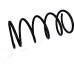 Muelle de suspensión - JAPKO-ZCJ90317