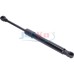 ZSJ00244 JAPKO MUELLE NEUMATICO MAL