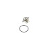 Termostato, refrigerante - NRF-725096 Termostato, refrigerante - NRF-725096