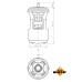 Termostato, refrigerante - NRF-725133 Termostato, refrigerante - NRF-725133