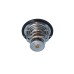 Termostato, refrigerante - NRF-725248 Termostato, refrigerante - NRF-725248