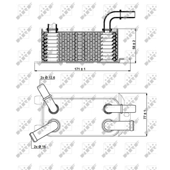 Radiador de aceite, aceite motor - NFR 31293