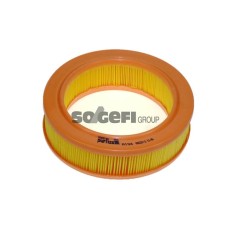 Filtro de aire - PURFLUX-A194 Filtro de aire - PURFLUX-A194