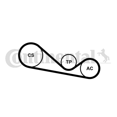 Juego de correas trapeciales poli V - CONTITECH-4PK1237K1