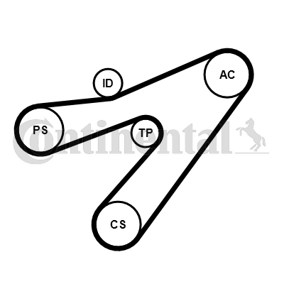 Juego de correas trapeciales poli V - CONTITECH-4PK1538K1 Juego de correas trapeciales poli V - CONTITECH-4PK1538K1