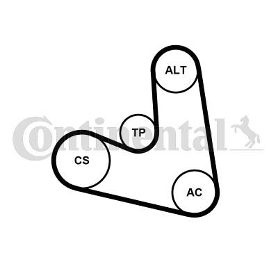 Juego de correas trapeciales poli V - CONTITECH-4PK654K1