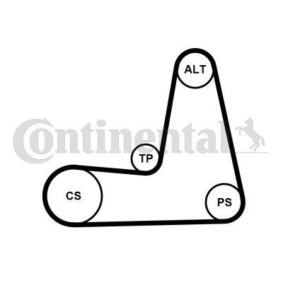 Juego de correas trapeciales poli V - CONTITECH-5PK1110K1 Juego de correas trapeciales poli V - CONTITECH-5PK1110K1