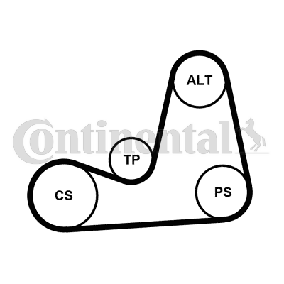 Juego de correas trapeciales poli V - CONTITECH-5PK1110K2