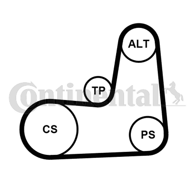 Juego de correas trapeciales poli V - CONTITECH-5PK1135K2