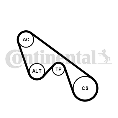 Juego de correas trapeciales poli V - CONTITECH-5PK1150K1 Juego de correas trapeciales poli V - CONTITECH-5PK1150K1