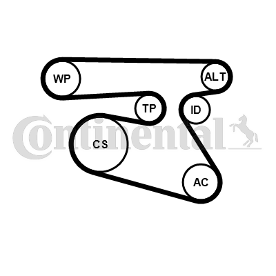 Juego de correas trapeciales poli V - CONTITECH-5PK1960K1