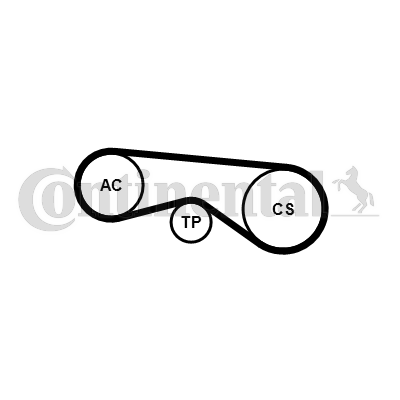 Juego de correas trapeciales poli V - CONTITECH-5PK865K1