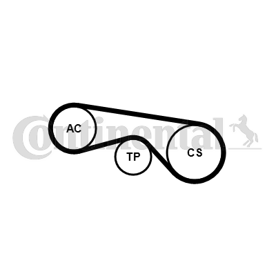 Juego de correas trapeciales poli V - CONTITECH-5PK906K2