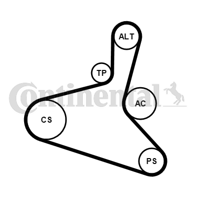 Juego de correas trapeciales poli V - CONTITECH-6DPK1195K2