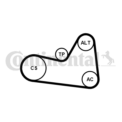 Juego de correas trapeciales poli V - CONTITECH-6PK1033K1